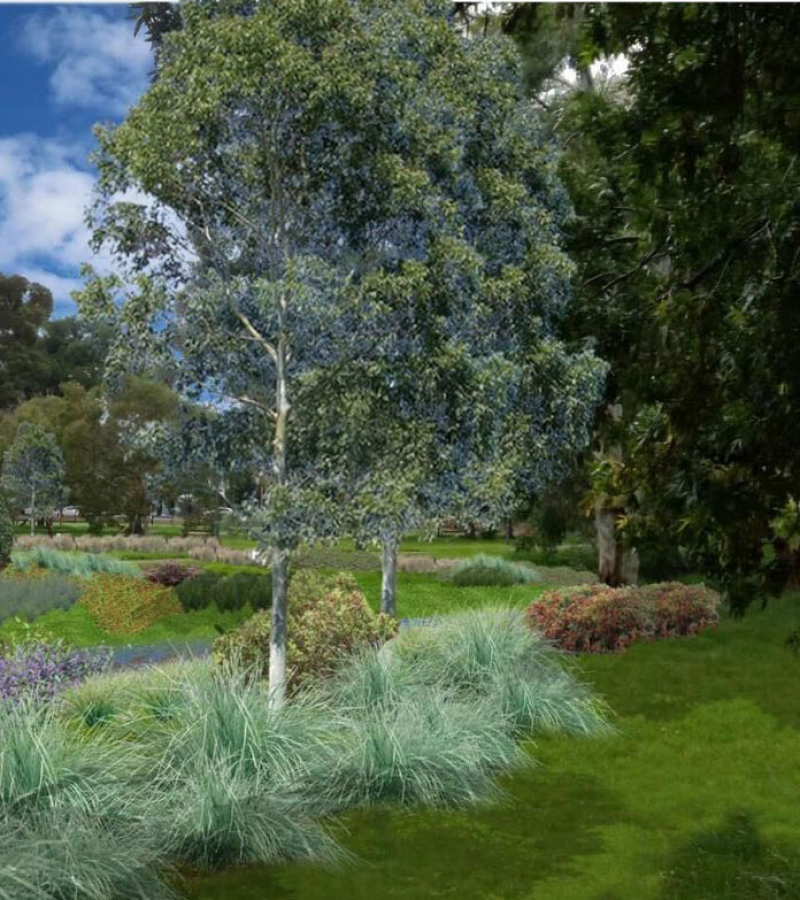 Adelaide Parklands Montage by Hemisphere Design
