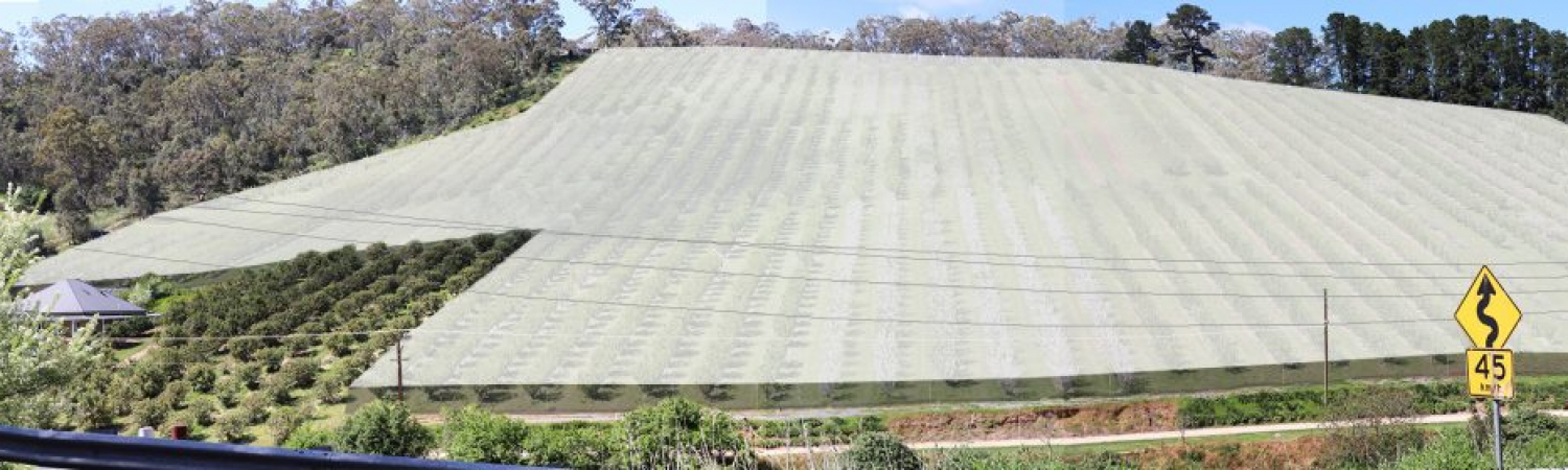 Lennane Orchard South Australia