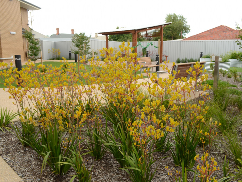 Southern Cross Care Mount Carmel
