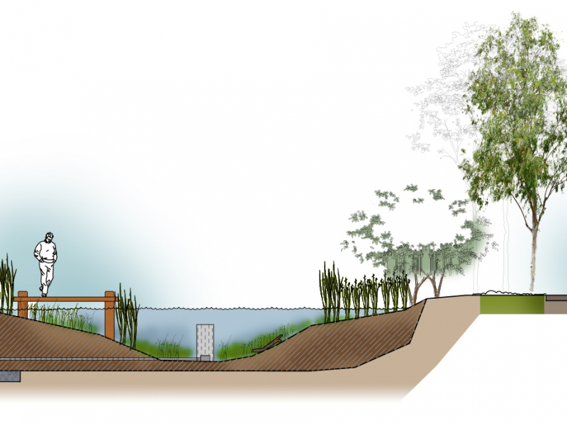 Torrens Lake Rehabilitation section drawing