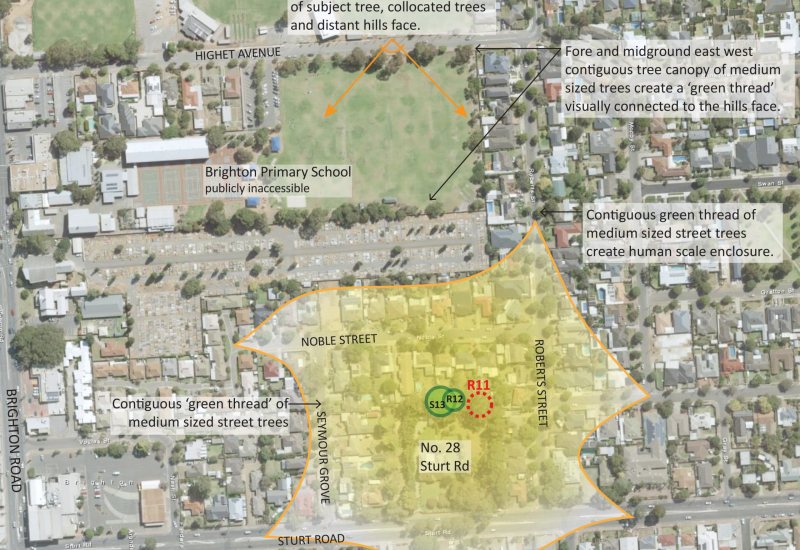 Sturt Road Significant tree assessment